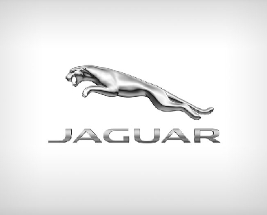 Jaguar Hire